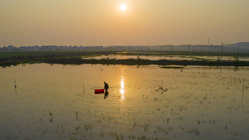 1691482174146893.jpg 1.jpg