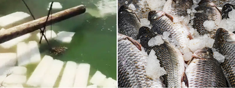 1691559374207805.jpg 9.jpg