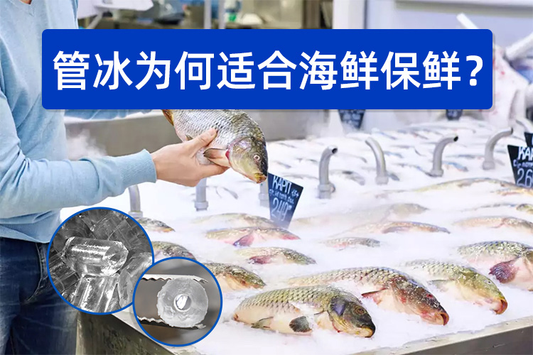 管冰為何如此適合海鮮保鮮？