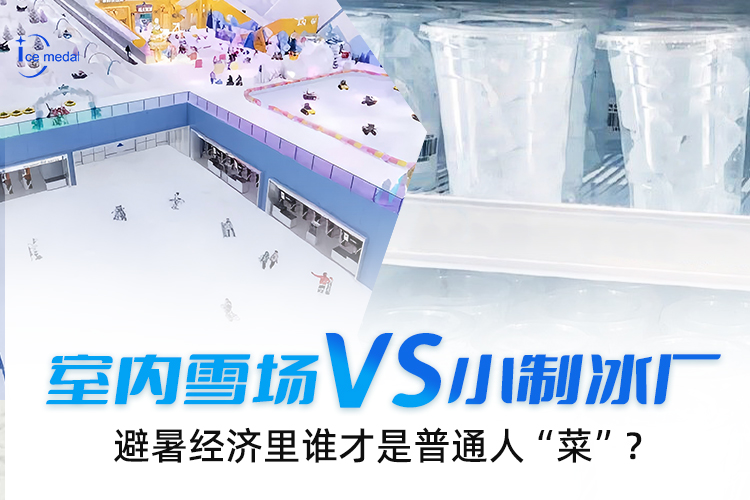 室內雪場VS小制冰廠，避暑經濟里誰才是普通人“菜”？